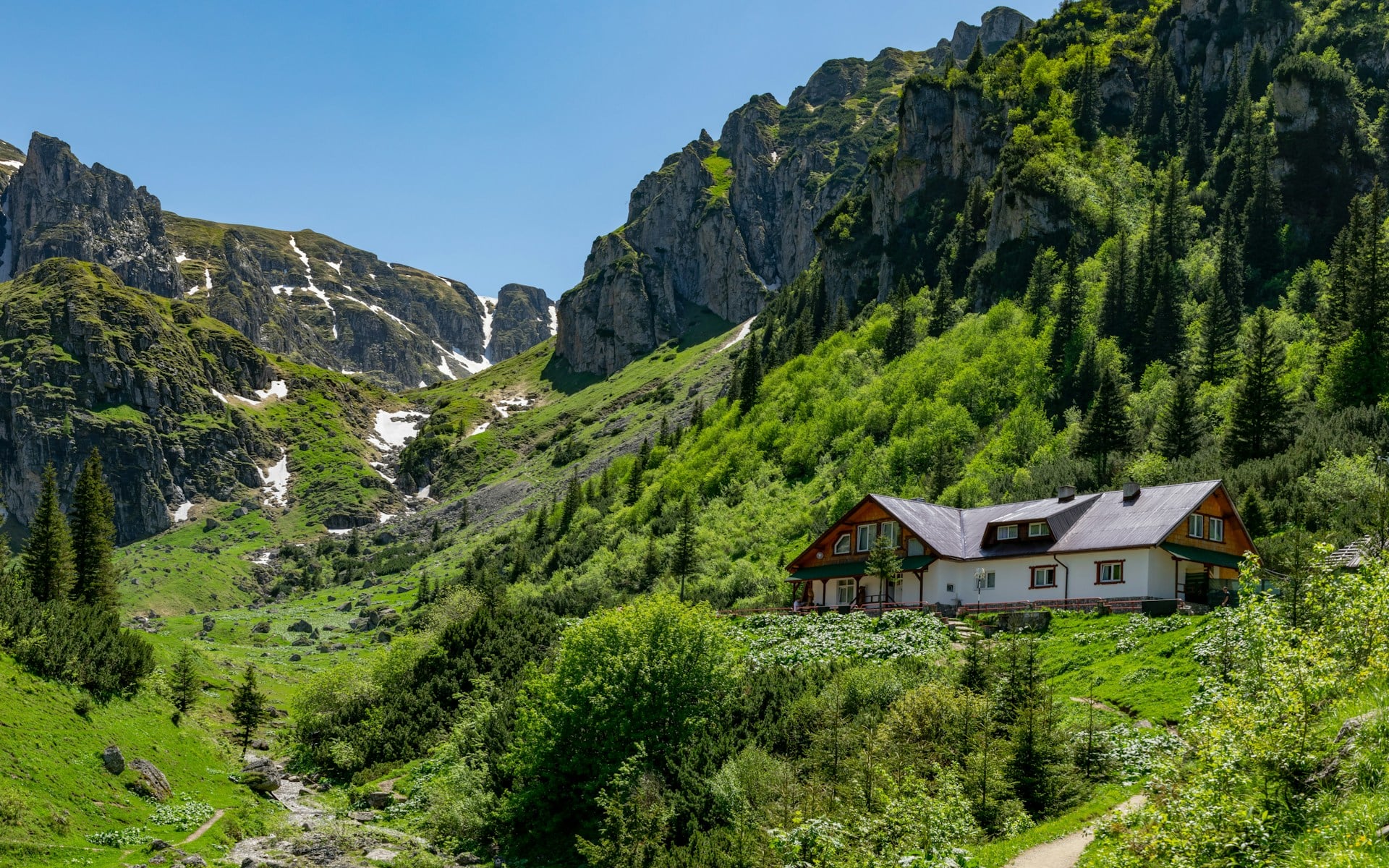 3. Campare cu cortul la munte - ce spatii special amenajate sunt disponibile in muntii din Romania   munti romanesti-min